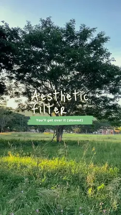 aesthetic filter✨