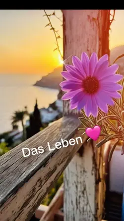 Das Leben 🩷