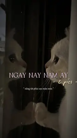 Ngày này năm ấy 