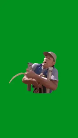ernest ladder 