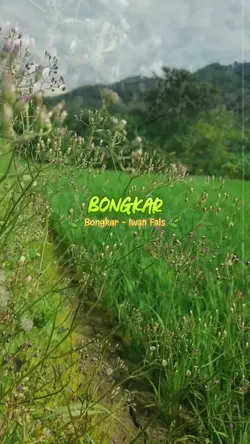 BONGKAR