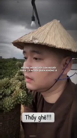 Chó cắn người toàn