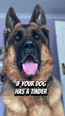 Tinder pic profile 