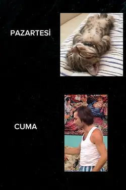 Pazartesi Cuma