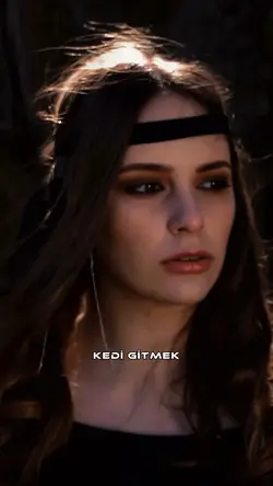 Kedi