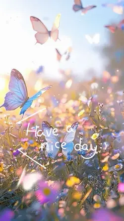 Have a nice da