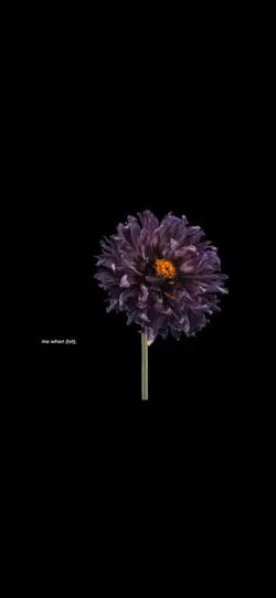 wilting flowers
