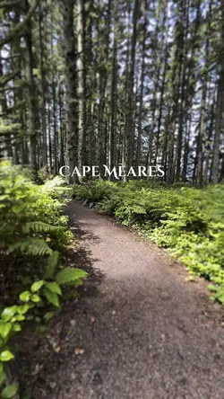 Forest Adventur