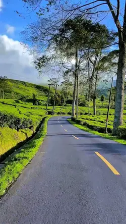 3 video HD story 