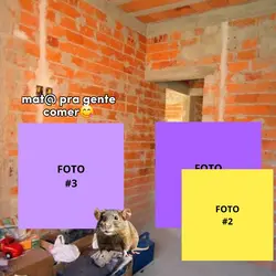 Nós come os rato