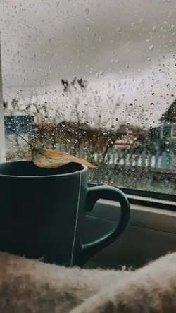 November Rain