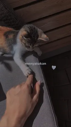 Tentang rasa