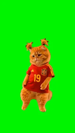 SPAIN DANCING CAT