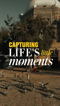 Daily Life