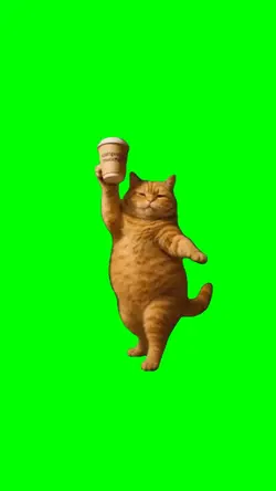 Cat Dancing Meme