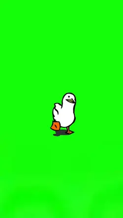 walking duck