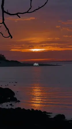 what makes you happy