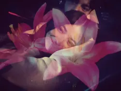 flower blooming 🌸🌷
