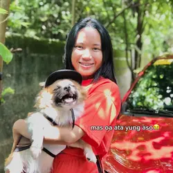 nonchalant na aso