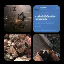 3รูปอิอิ