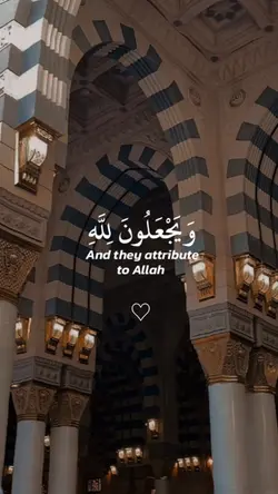 تلاوه خاشعه 