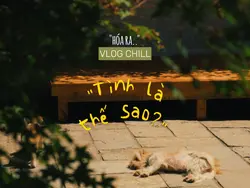 Hóa ra..