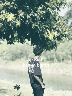 new song 