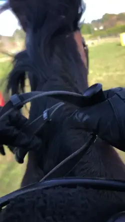 Awww