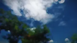 Beautiful Weather 
