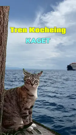 kocheing kaget