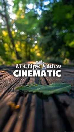 13 Videos Cinematic 