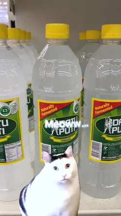 Puti Template