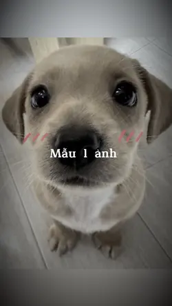 Kể từ ngày em đi xa