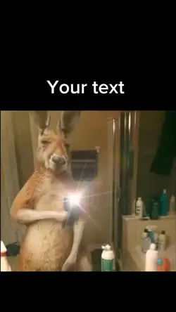 Funny kangaroo dance
