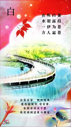 White Dew白露