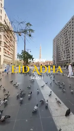IDUL ADHA