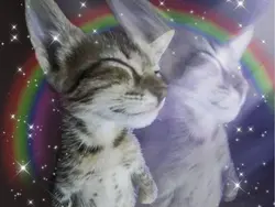 ⌗