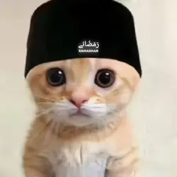 pp kucing ramadhan