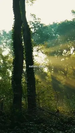 nature vibes.