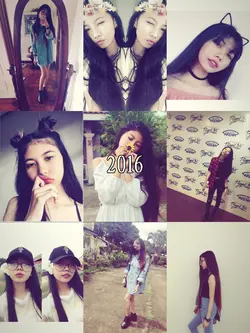 2016 trend