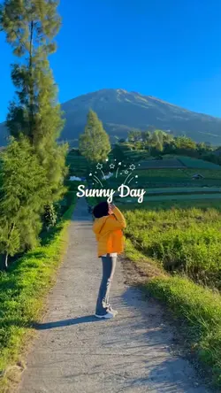 sunny day
