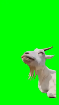 CHEWING LOUD