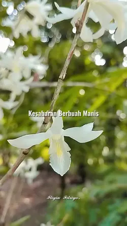Pernikahan 