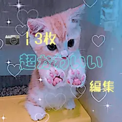 📷￤3枚 で超かわいい編集！
