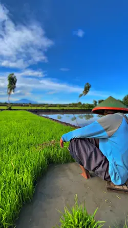 1VID HD JERNIH
