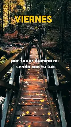 Viernes 19 de Julio
