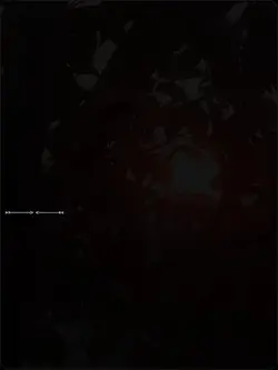 ayakkabımız yırtıktı