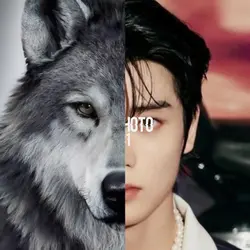 wolf pfp