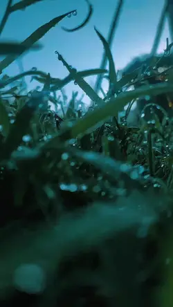 Tattoo Cinematic
