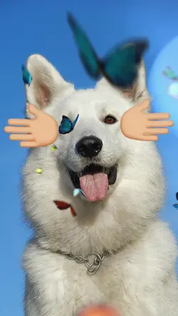 Trendy dog 